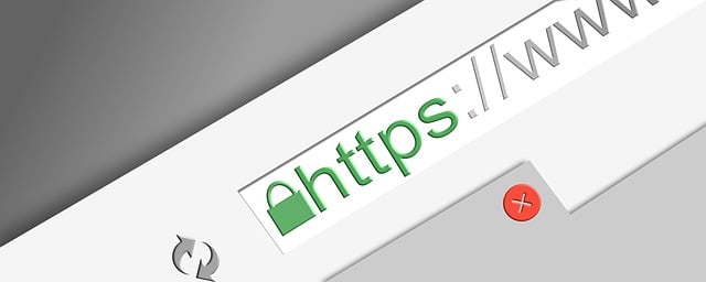 ¿Qué es un Certificado SSL y por qué lo necesitas?